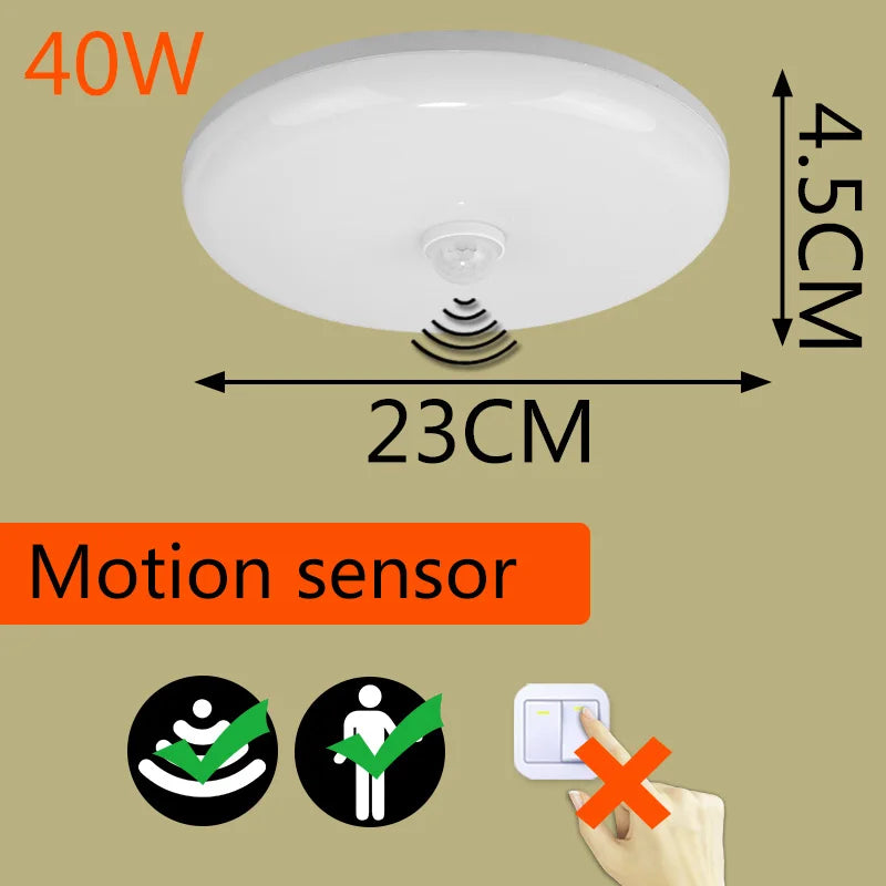 Smart LED Ceiling Light with Motion Sensor for Home & More