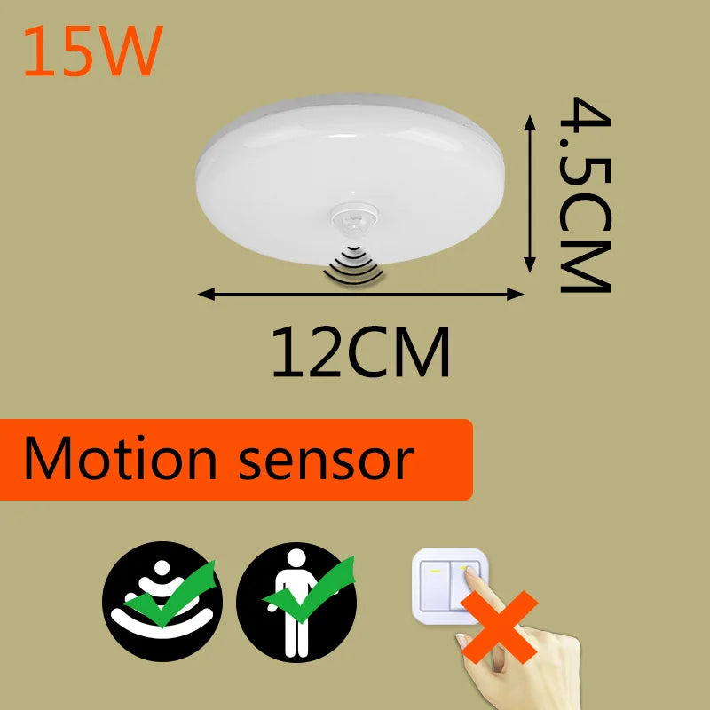 Smart LED Ceiling Light with Motion Sensor for Home & More