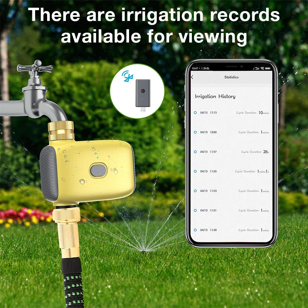 Zigbee Smart Water Timer 2025