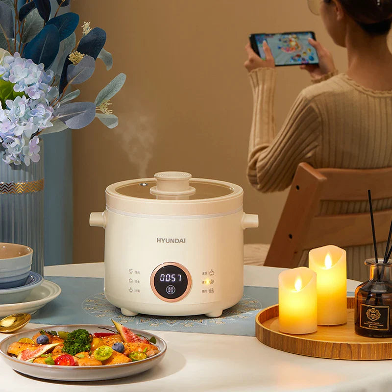 2L Electric Rice Cooker - Multicooker & Food Steamer, 220V