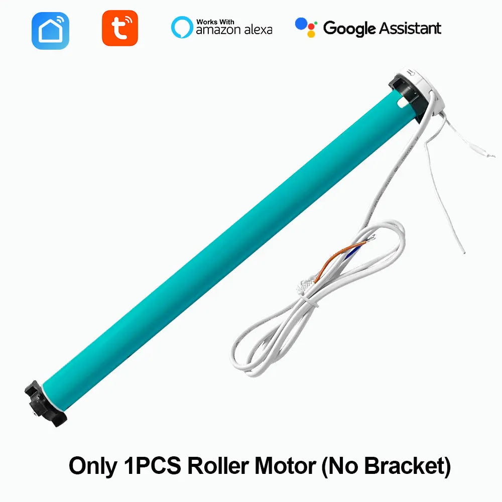 Tuya Smart Curtains Motor