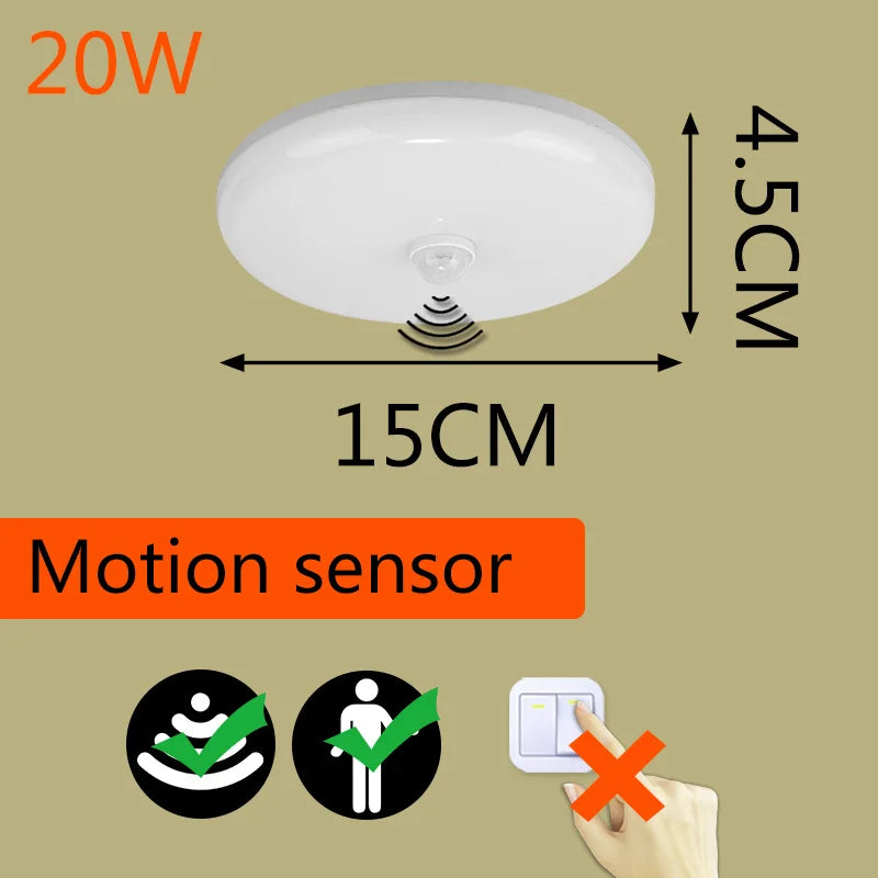 Smart LED Ceiling Light with Motion Sensor for Home & More