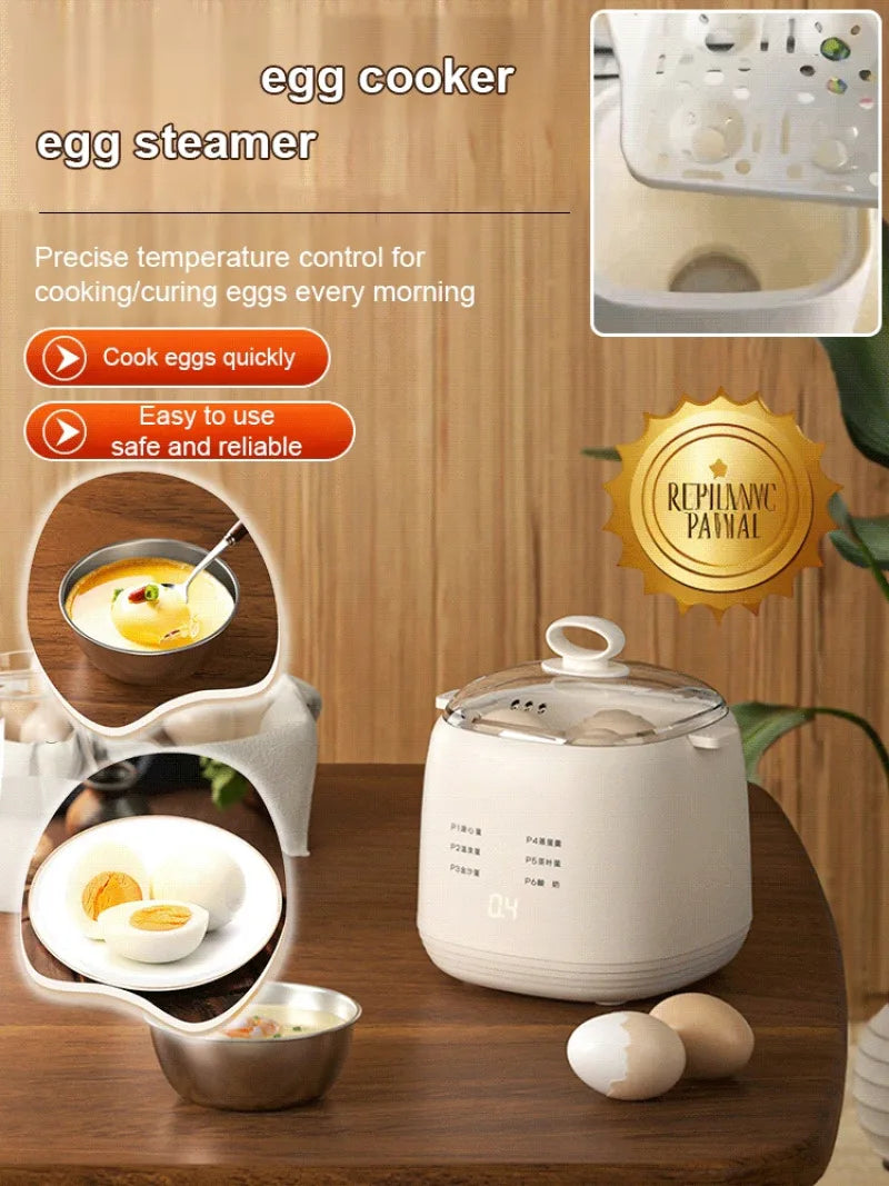 Electric Egg Cooker & Steamer