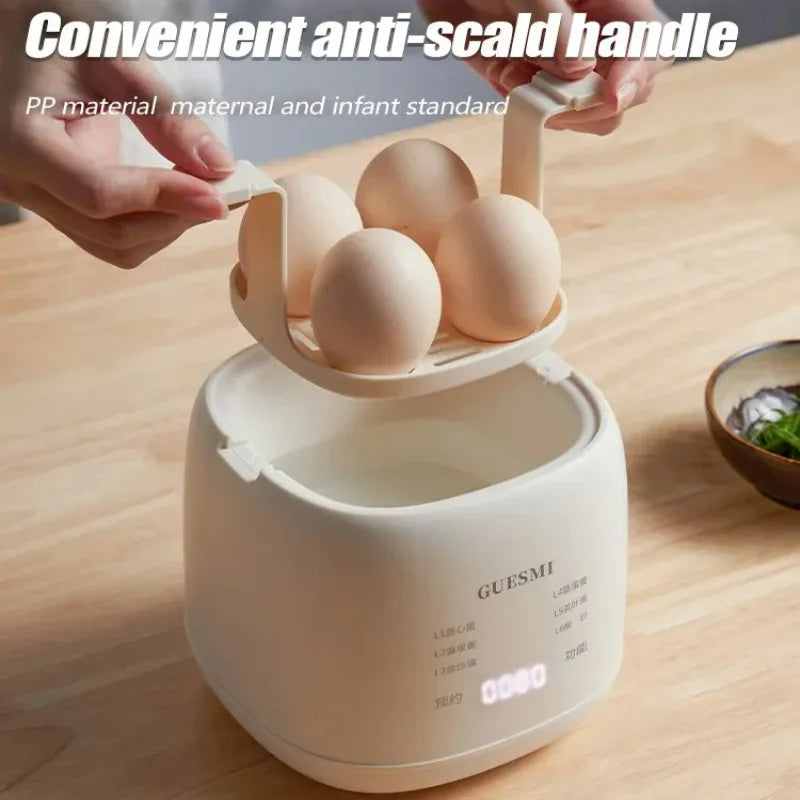 220V Electric Egg Boiler