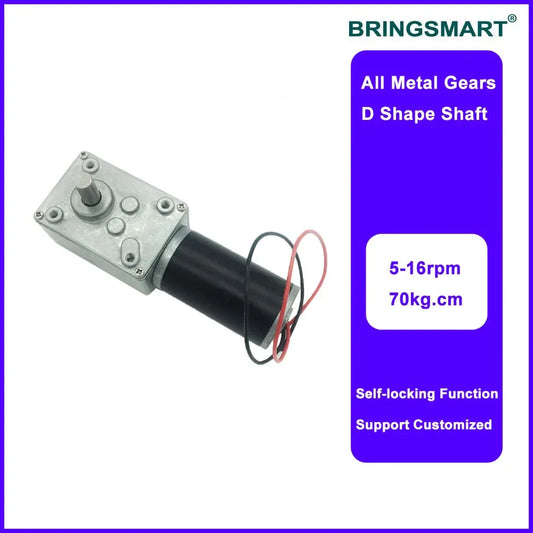 Bringsmart High Torque DC Gear Motor 12V/24V with Speed Controller