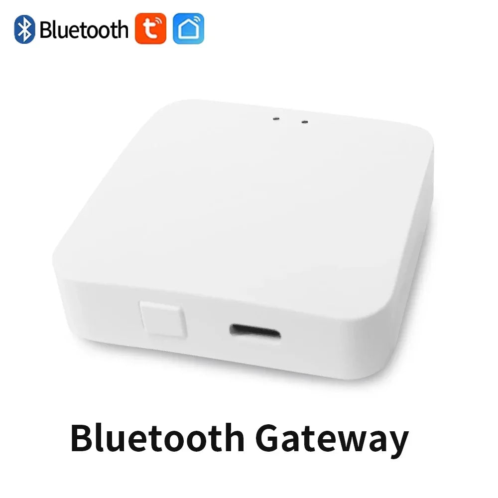 Smart Tuya Bluetooth Garden Water Timer - Alexa Compatible, Rain Delay, Automatic Irrigation
