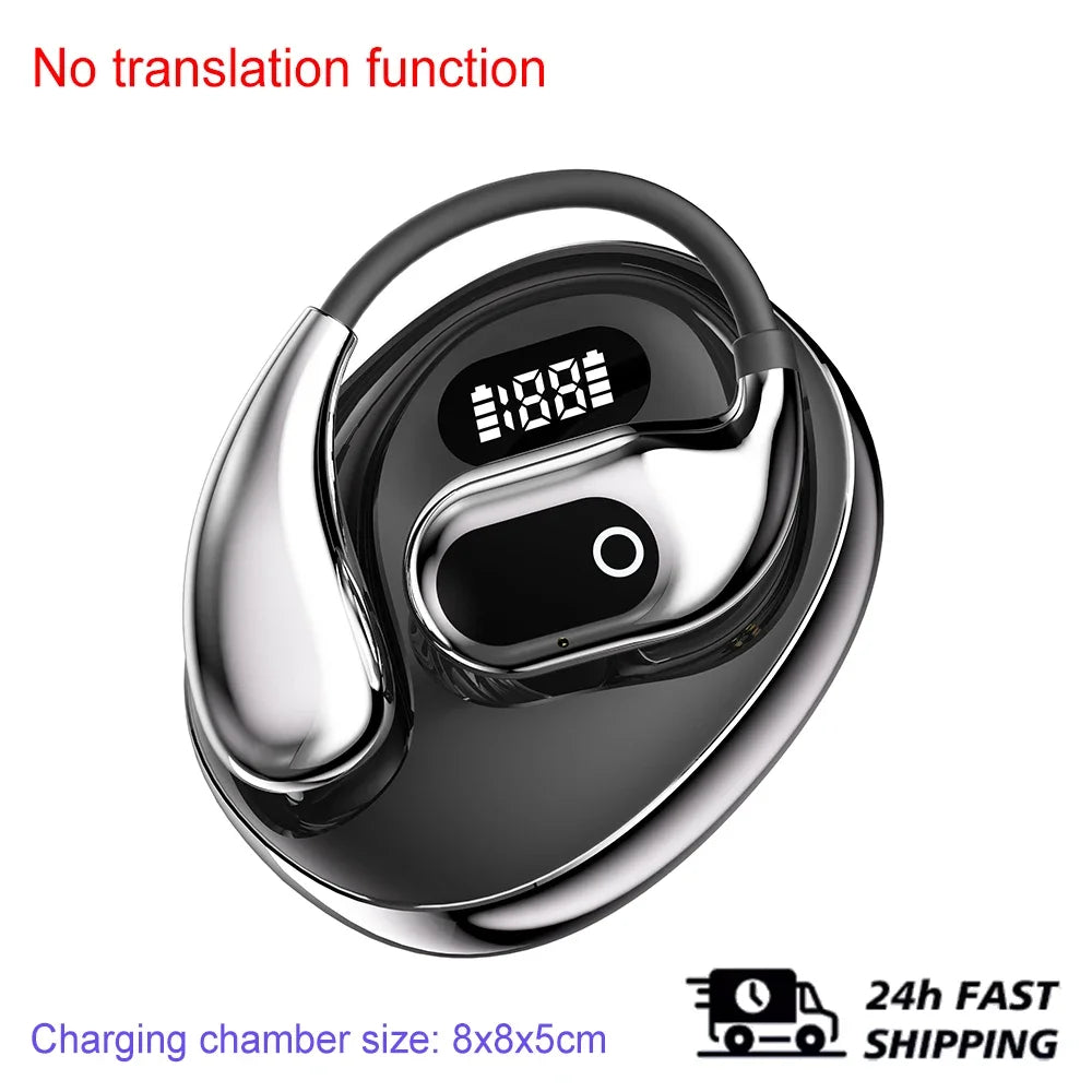 AI Translator Earphones