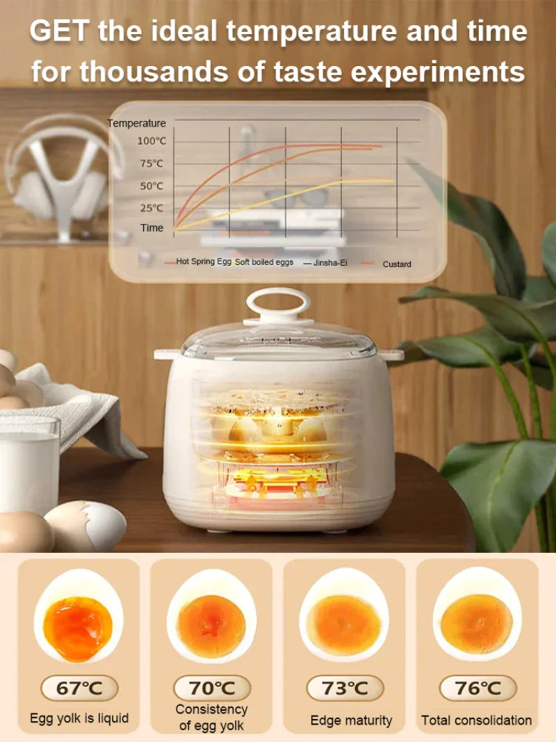 Electric Egg Cooker & Steamer