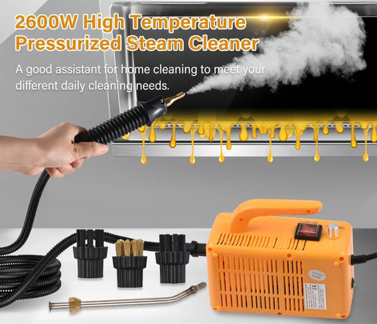 2600W Portable High Temp Steam Cleaner for Home & Car