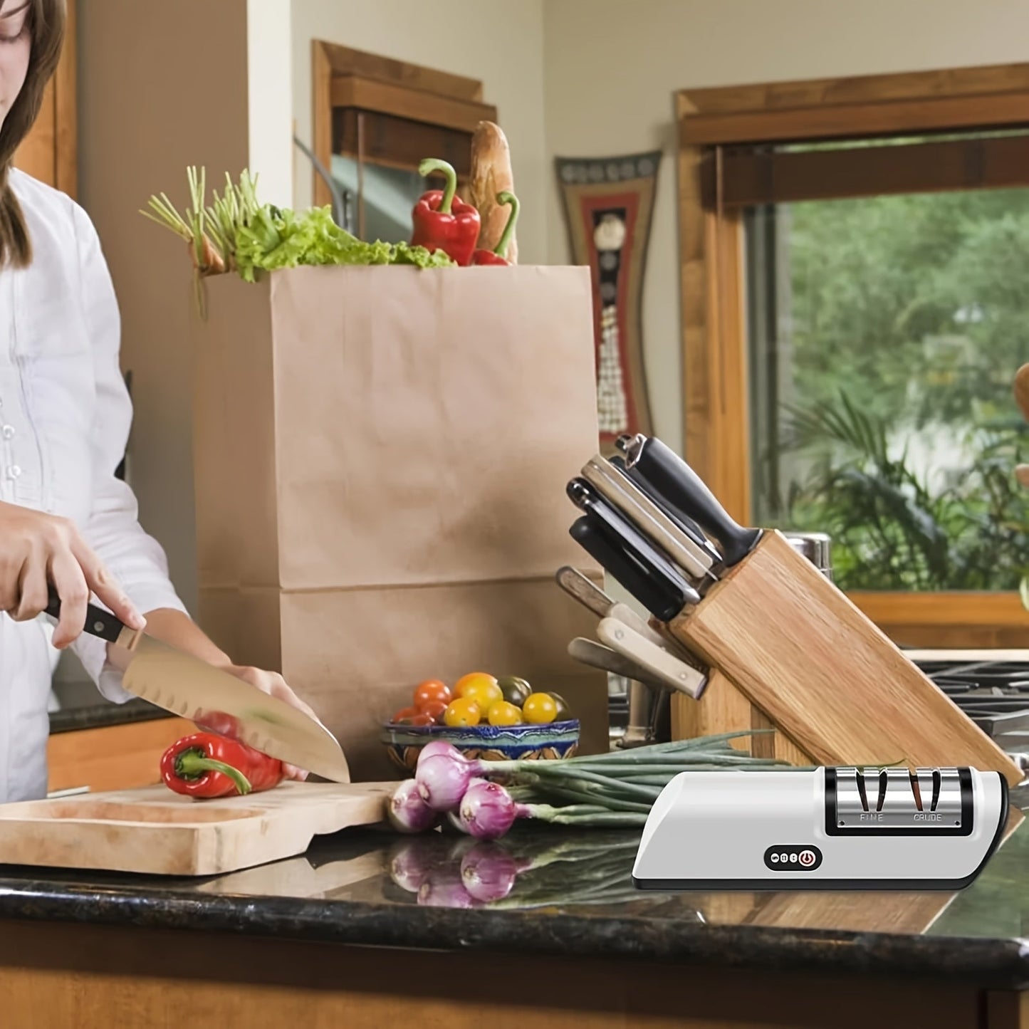 Professional 2-Stage Electric Knife Sharpener - Quick Sharpening & Polishing
